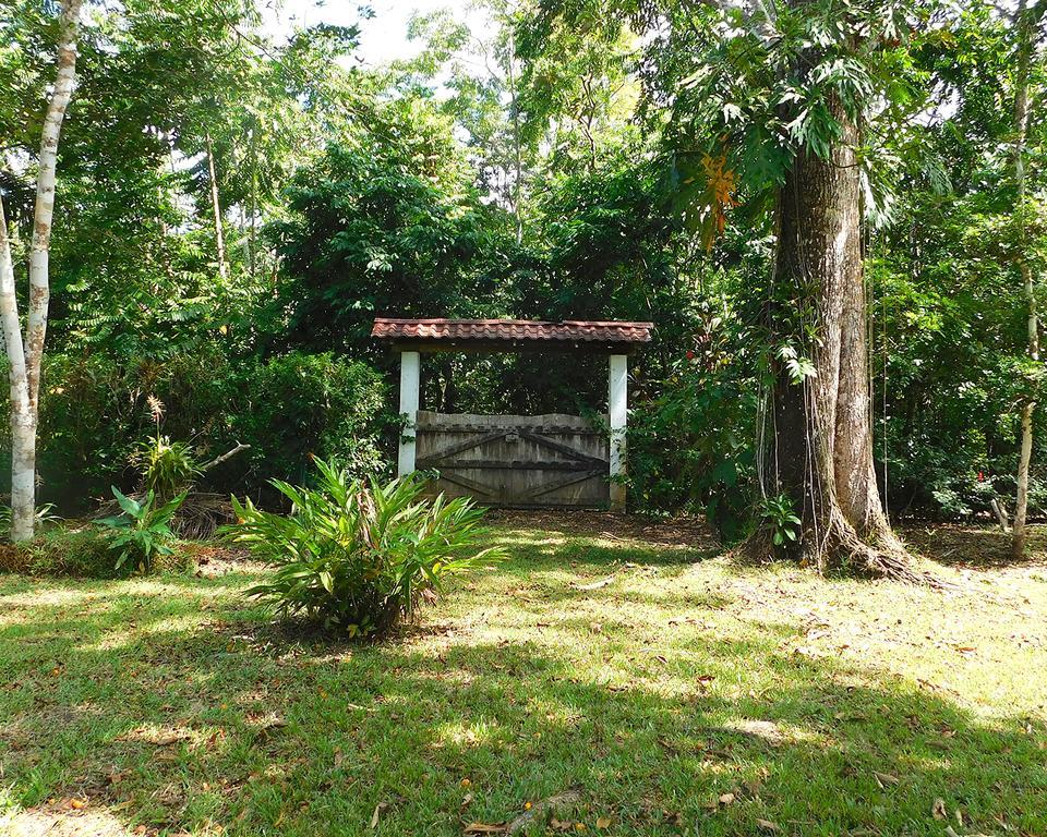 Green Corner Cahuita Bagian luar foto