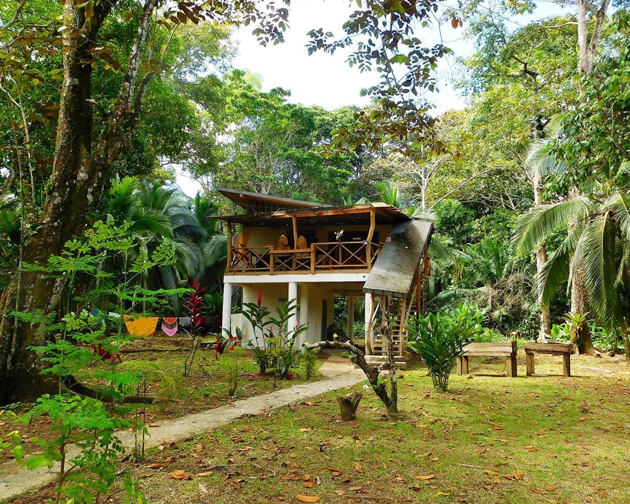 Green Corner Cahuita Bagian luar foto